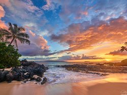 Wyspa Maui, Palmy, Plaża, Morze, Hawaje, Zachód słońca